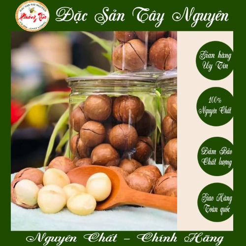 Hạt Macca dinh dưỡng nức vỏ sấy lạnh túi 500gr (loại 1) - Đặc sản tây nguyên