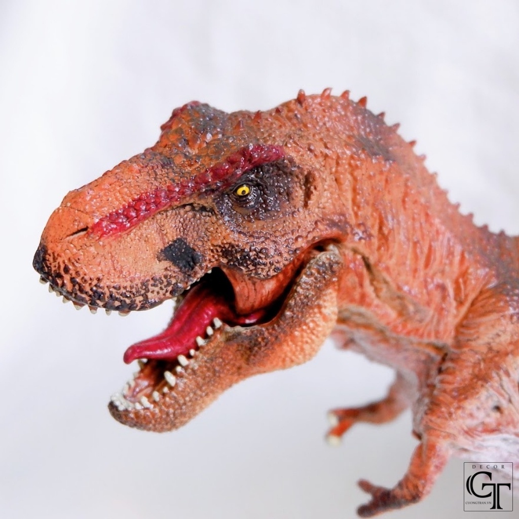 Khủng Long đồ chơi | Mô hình Khủng Long bạo chúa ăn thịt T-Rex 01 | Nhựa PVC chất lượng cao