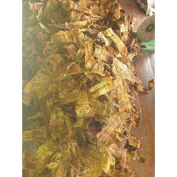 MĂNG NỨA KHÔ _ĐIỆN BIÊN