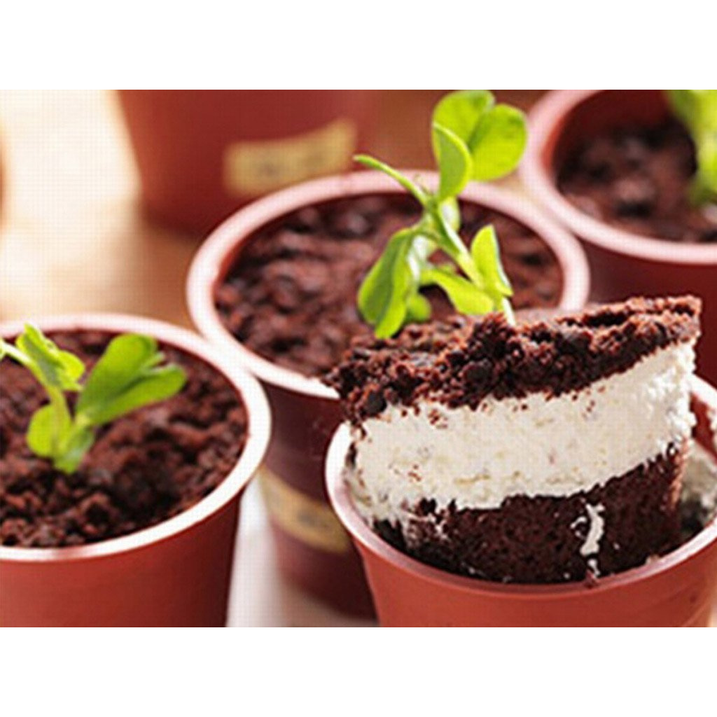 CỐC NHỰA CHẬU CÂY TIRAMISU