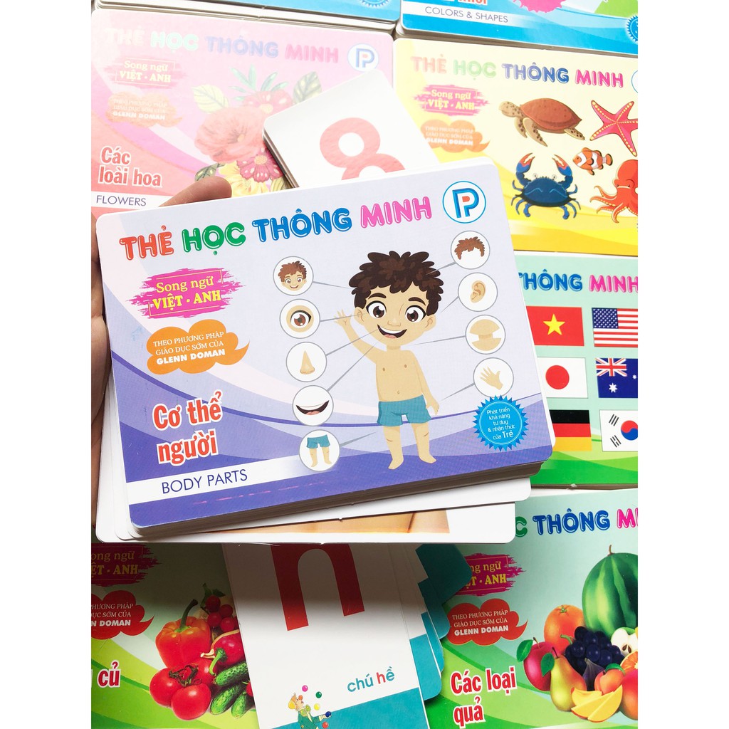 Bộ Thẻ Flashcard, thẻ học thông minh loại to 15 Chủ Đề song ngữ tiếng Anh 301 thẻ(loại chuẩn Glenn Doman)