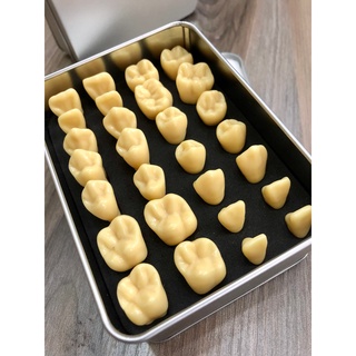 Mô hình răng rời 28 chiếc điêu khắc