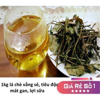 [Freeship] CHÈ VẰNG SẺ SAO VÀNG HẠ THỔ