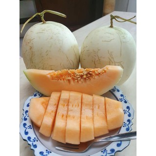 DƯA ĐỎ NỮ THẦN MẶT TRỜI (CANTALOUPE )
