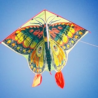 Diều hình con Bướm. Size lớn nhất ** Tặng tay cầm dây và dây thả Diều