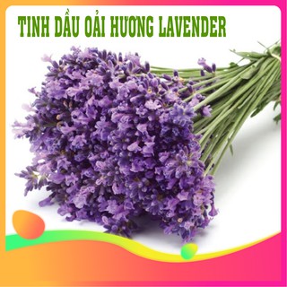 Tinh dầu oải hương lavender nguyên chất