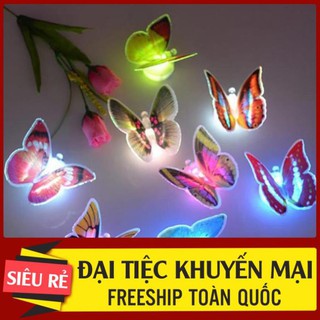 ĐÈN LED DÁN TƯỜNG HÌNH CON BƯỚM CỰC XINH (MÀU NGẪU NHIÊN) tiện lợi