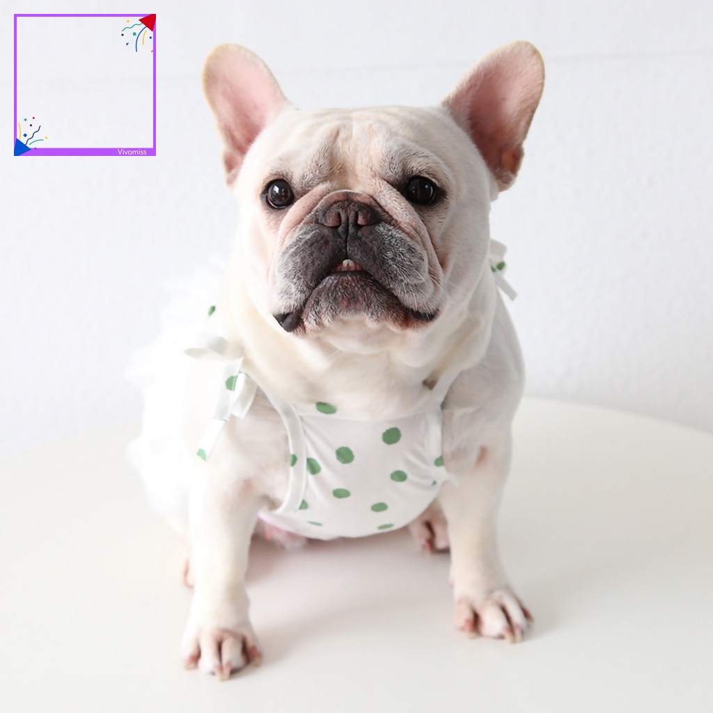 Đầm Chống Nắng Kiểu Công Chúa Thời Trang Mùa Hè Xinh Xắn Cho Cún Cưng