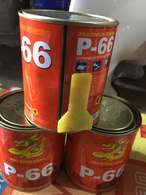 Keo dán gỗ  P66