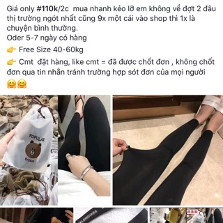 Quần legging gấu Brown thần thánh kèm túi gấu.