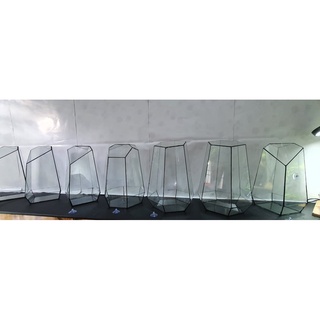 Tiểu Cảnh Bình thủy tinh terrarium