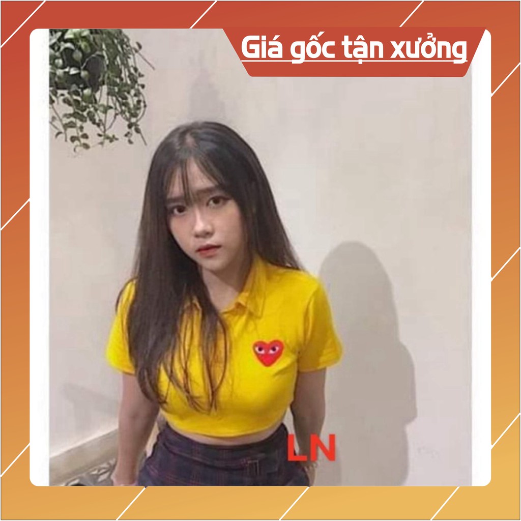 Áo croptop vàng polo tim mắt LN12