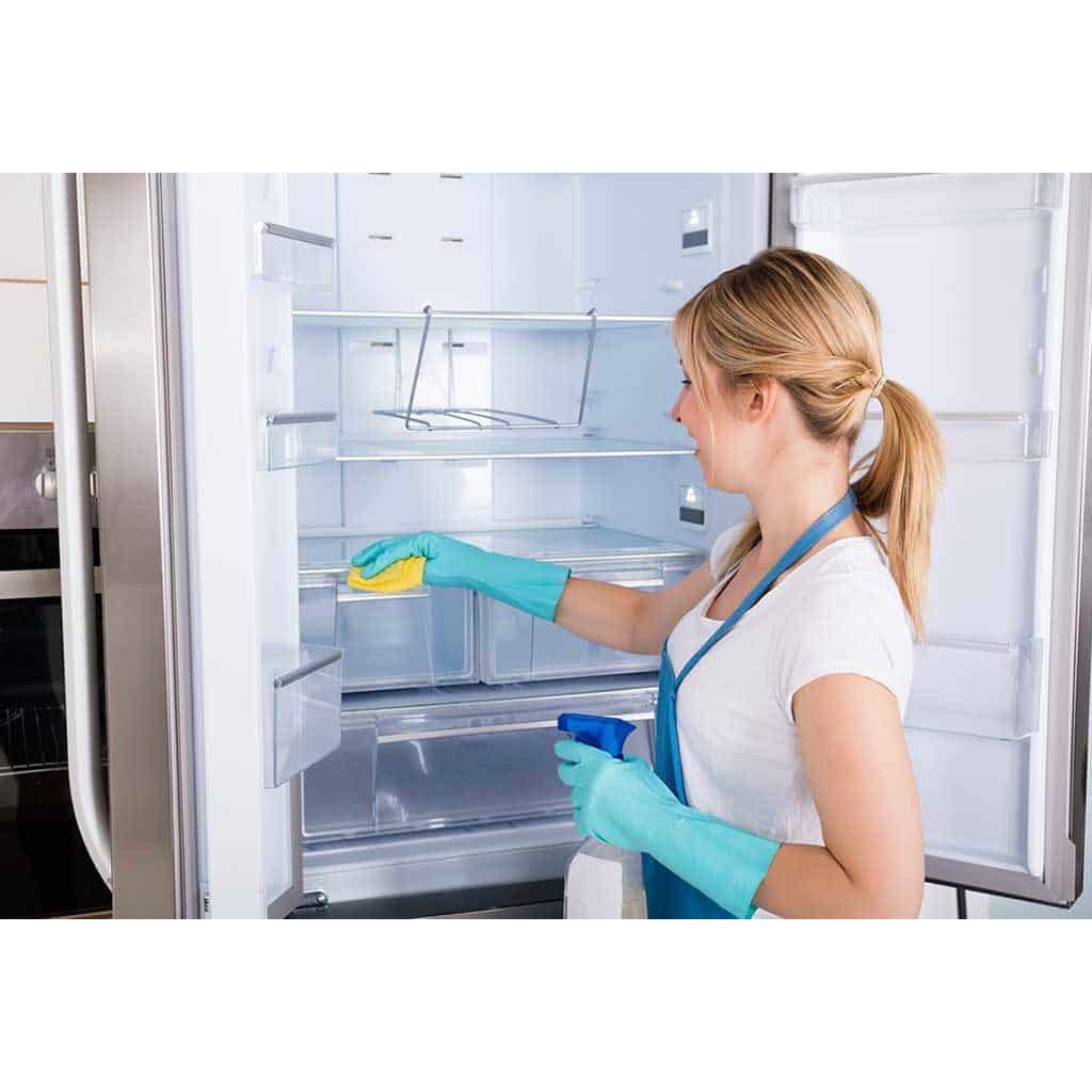[ HÀNG ĐỨC ] Chai xịt vệ sinh tủ lạnh,lò vi sóng, lò nướng, tủ đông Dr Beckmann, 250ml