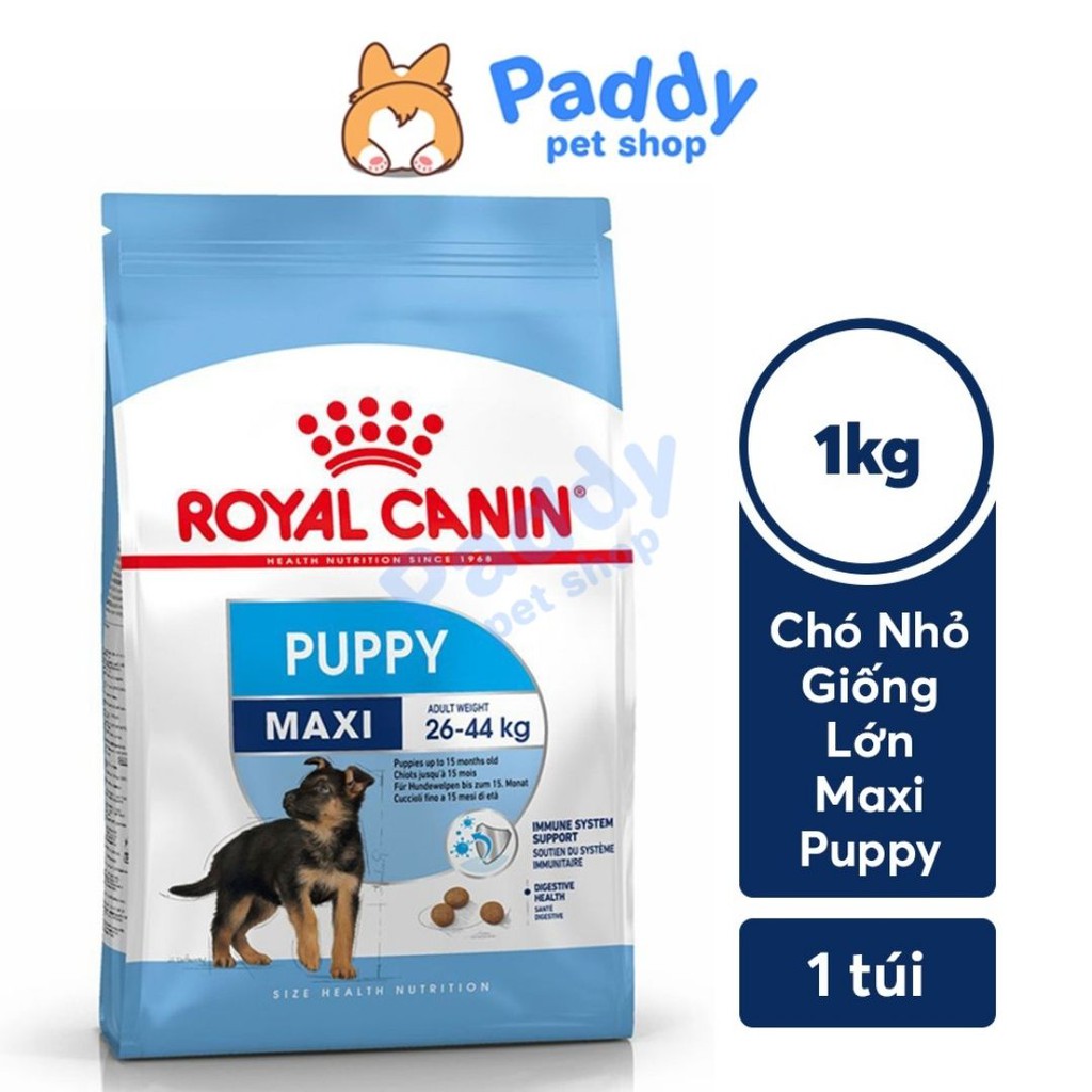  [1kg] Hạt Royal Canin Maxi Puppy Cho Chó Con Giống Lớn