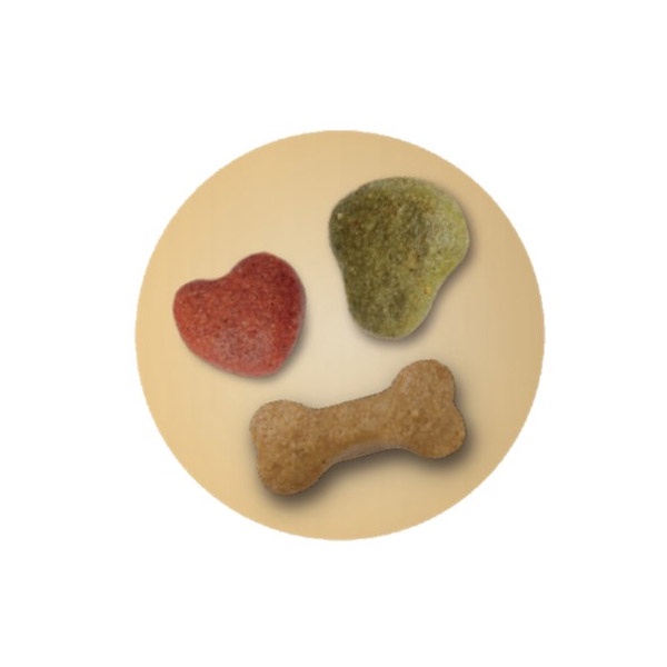[Rẻ vô Địch][Có Sẵn]Hạt Chó Con Smart Heart Puppy Gói 400g