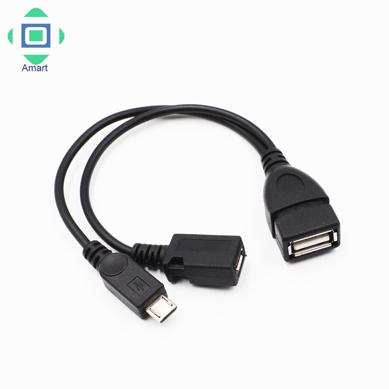 Cáp chuyển đổi từ USB type A female sang 2 cổng Micro USB male và female