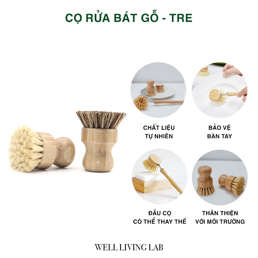 [Hoàn Xu Xtra] Cọ rửa bát