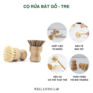 [Hoàn Xu Xtra] Cọ rửa bát