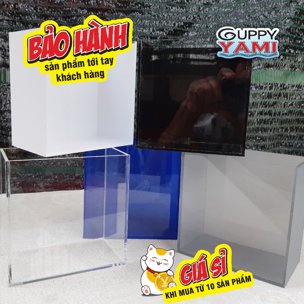 Hồ Show cá - Bể Show cá Guppy - Keo Show cá Betta in tên theo yêu cầu, giá tại xưởng, kích thước 15x8x15cm