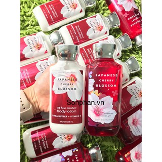 COMBO Sữa Tắm & Dưỡng Thể Hương Nước Hoa BATH & BODY WORKS Cherry Blossom 236ml + 295ml