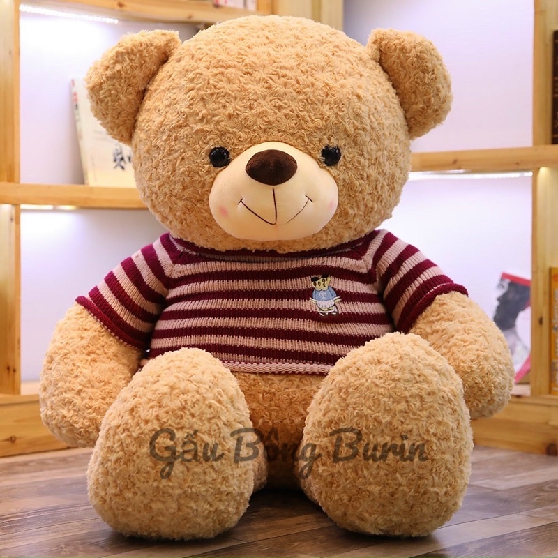 Gấu bông Teddy cao cấp siêu to, teddy lông xoắn hoa hồng mịn