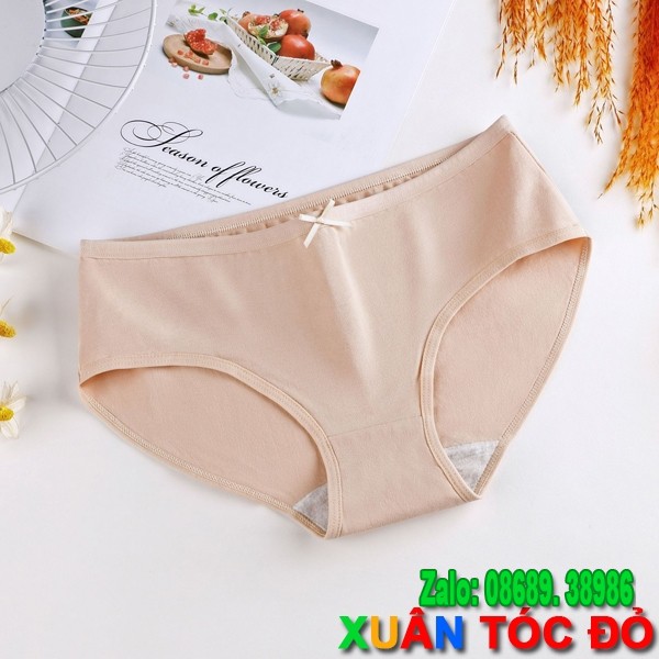 Quần Lót Nữ Cotton 7 Màu Có Nơ Cực Xinh M081