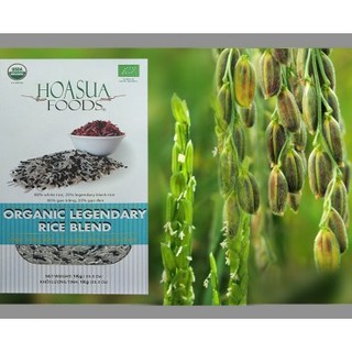 Gạo màu huyền thoại hữu cơ Hoa Sữa 1kg