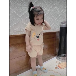 Bộ cọc tay thun lạnh tai thật