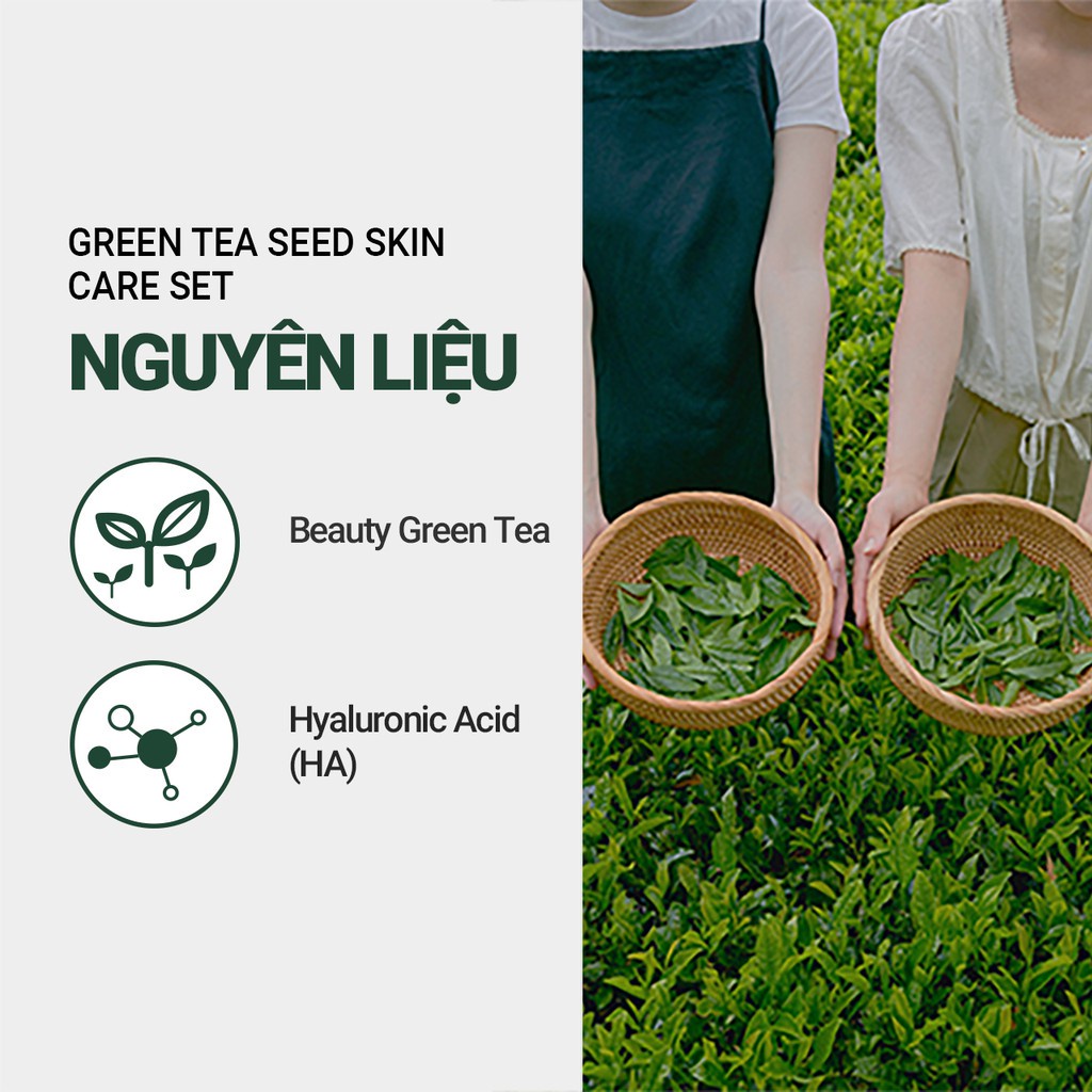 [Phiên bản Green Holidays] Bộ sản phẩm chăm da ẩm mượt trà xanh innisfree Green Tea Seed Skin Care Set