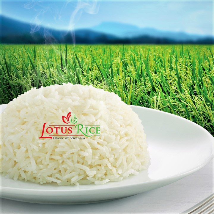Gạo Thơm Lài Lotus Rice 5kg - Thơm ngon dẻo vừa | BigBuy360 - bigbuy360.vn