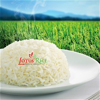 Gạo thơm Jasmine Lotusrice