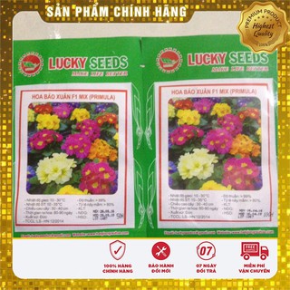 Hạt Giống Hoa Báo Xuân -50 hạt