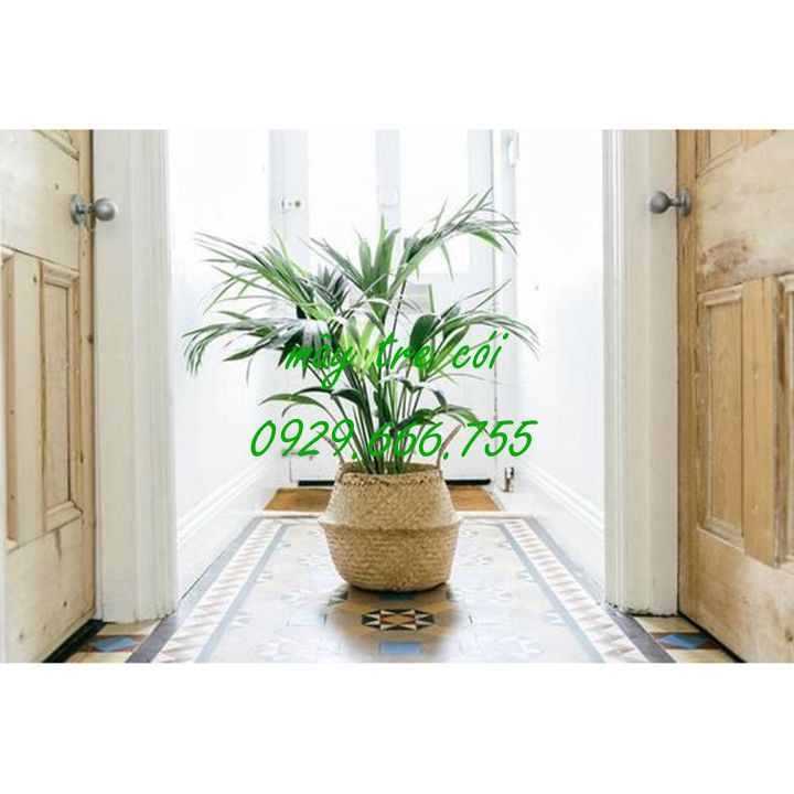 Giỏ cói || Sọt cói đựng đồ, trồng cây, đi chợ