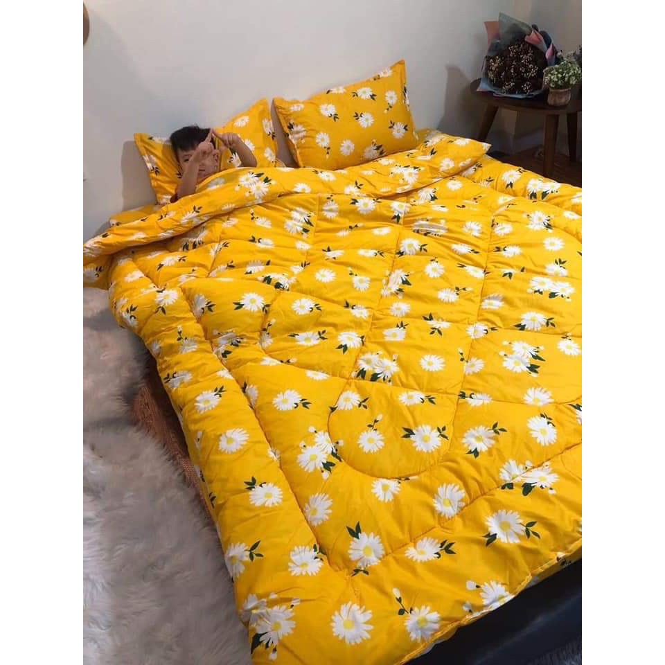Bộ chăn phao ga gối cotton poly-vịt hồng