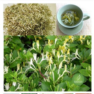 Kim Ngân Hoa hỗ trợ điều t rị bện h viêm xoang hiệu quả NDX027