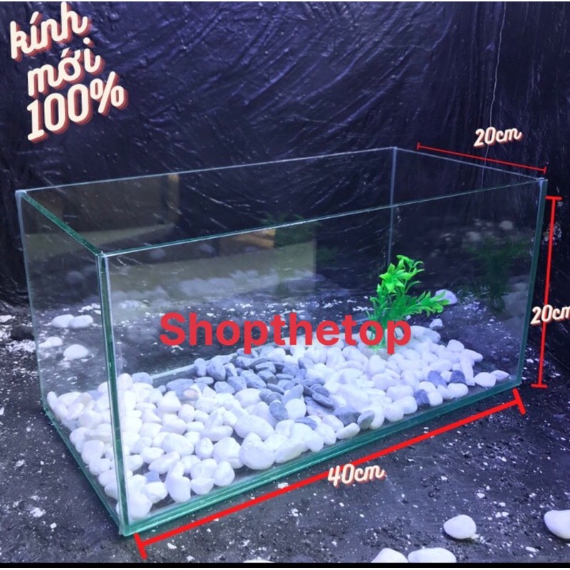 Bể cá 40x20x20 kính trắng 5mini để bàn đẹp . hợp phong thuỷ