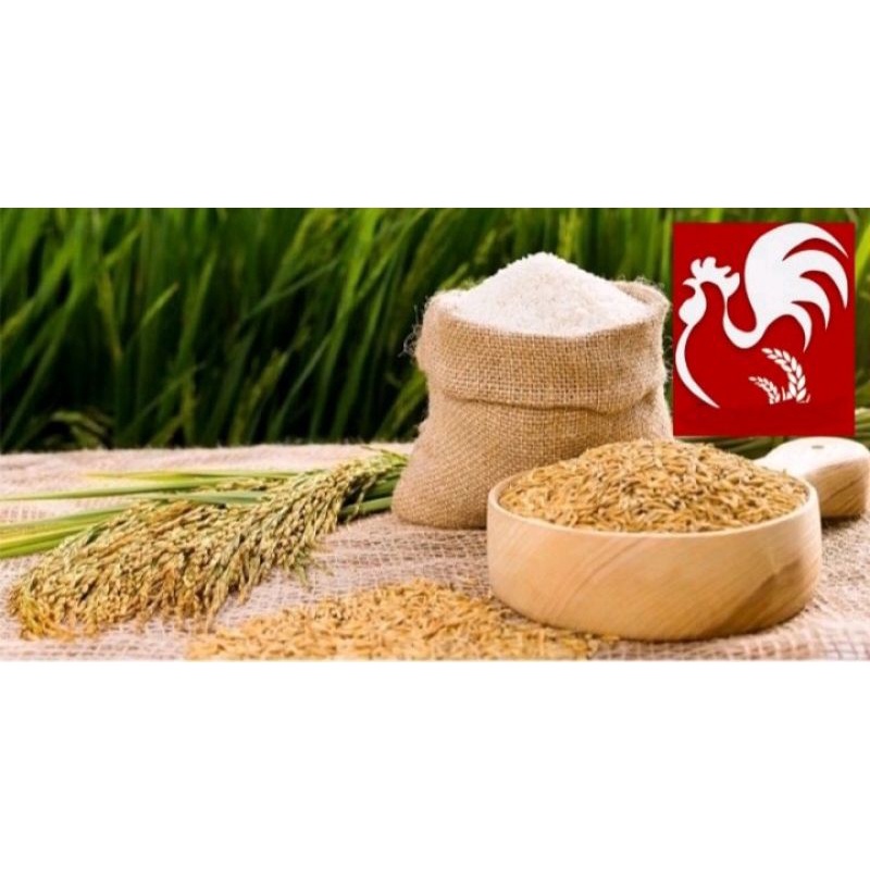 1 ký thóc  thức ăn vịt gà chim chuột...