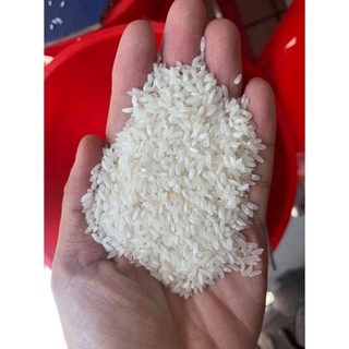 Gạo tài nguyên- xốp nở- mềm cơm