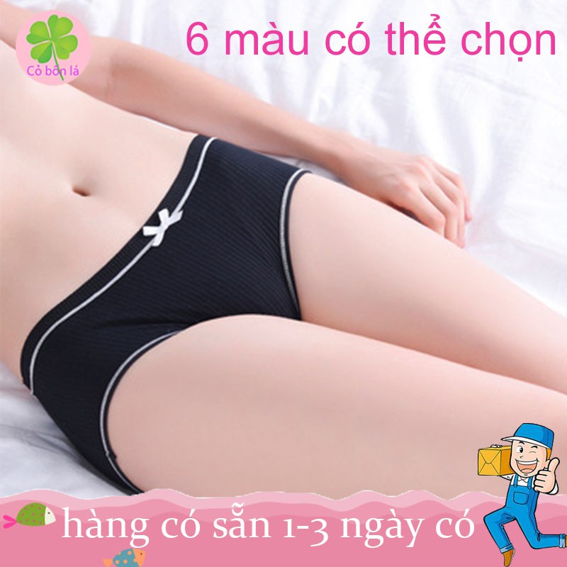 Quần Lót Nữ Cotton Bông Mềm Kháng Khuẩn,Quần Lót Hình Nơ Cao Cấp Thoải Mái