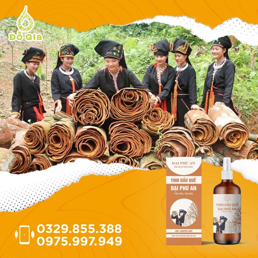 [COMBO] 5 CHAI TINH DẦU QUẾ NGUYÊN CHẤT ĐỖ GIA  - MỘT SẢN PHẨM CỦA ĐẠI PHÚ AN