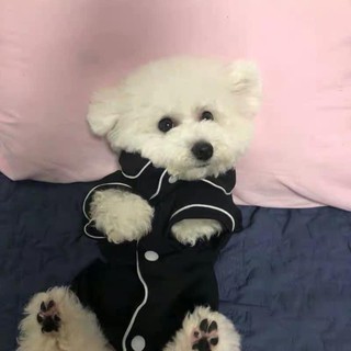 Áo pijama cho chó mèo