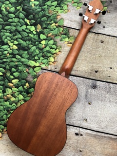 Đàn Ukulele Concert Oterga Gỗ Mahogany - CB2