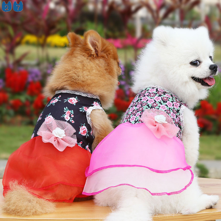 Đầm Cưới Công Chúa Họa Tiết Hoa Và Mèo Phong Cách Hàn Quốc 27Pets