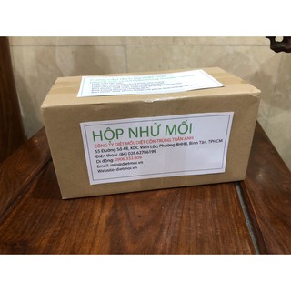 Hộp nhử mối tận gốc