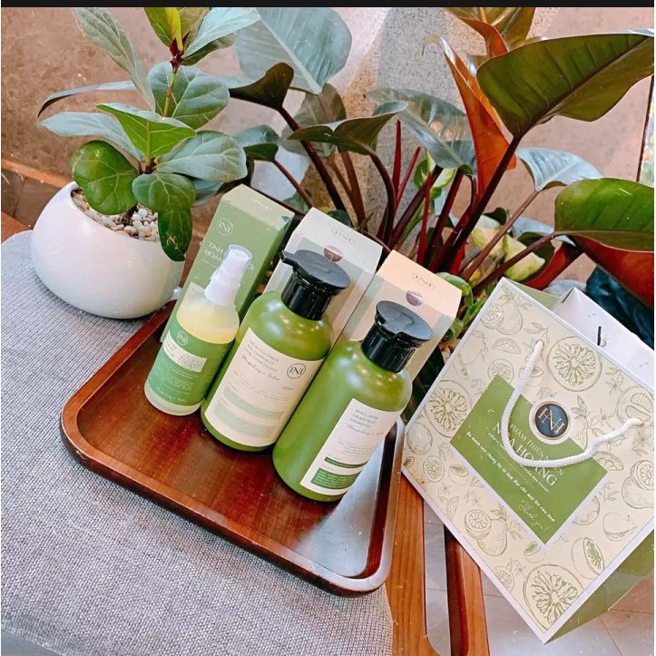 Bộ Bưởi Nga Hoàng 3 món (Dầu gội+Tinh Dầu+Gel ủ bưởi) mẫu mới
