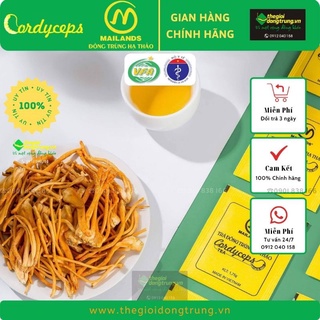 Trà Đông trùng hạ thảo Mailands