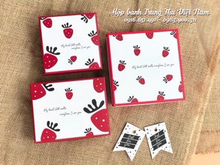 [Set 10] hộp đựng socola (chocolate) 16 viên (ko kèm thiệp)