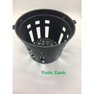 ( SIÊU RẺ ) Combo 10 chậu lan đen phi 16