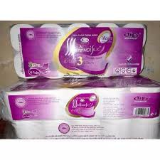 20 CUỘN GIẤY VỆ SINH HÀ NỘI SIÊU ĐỆP