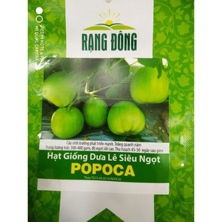 Hạt giống Dưa lê siêu ngọt 0.5gr❤️FREESHIP XTRA❤️